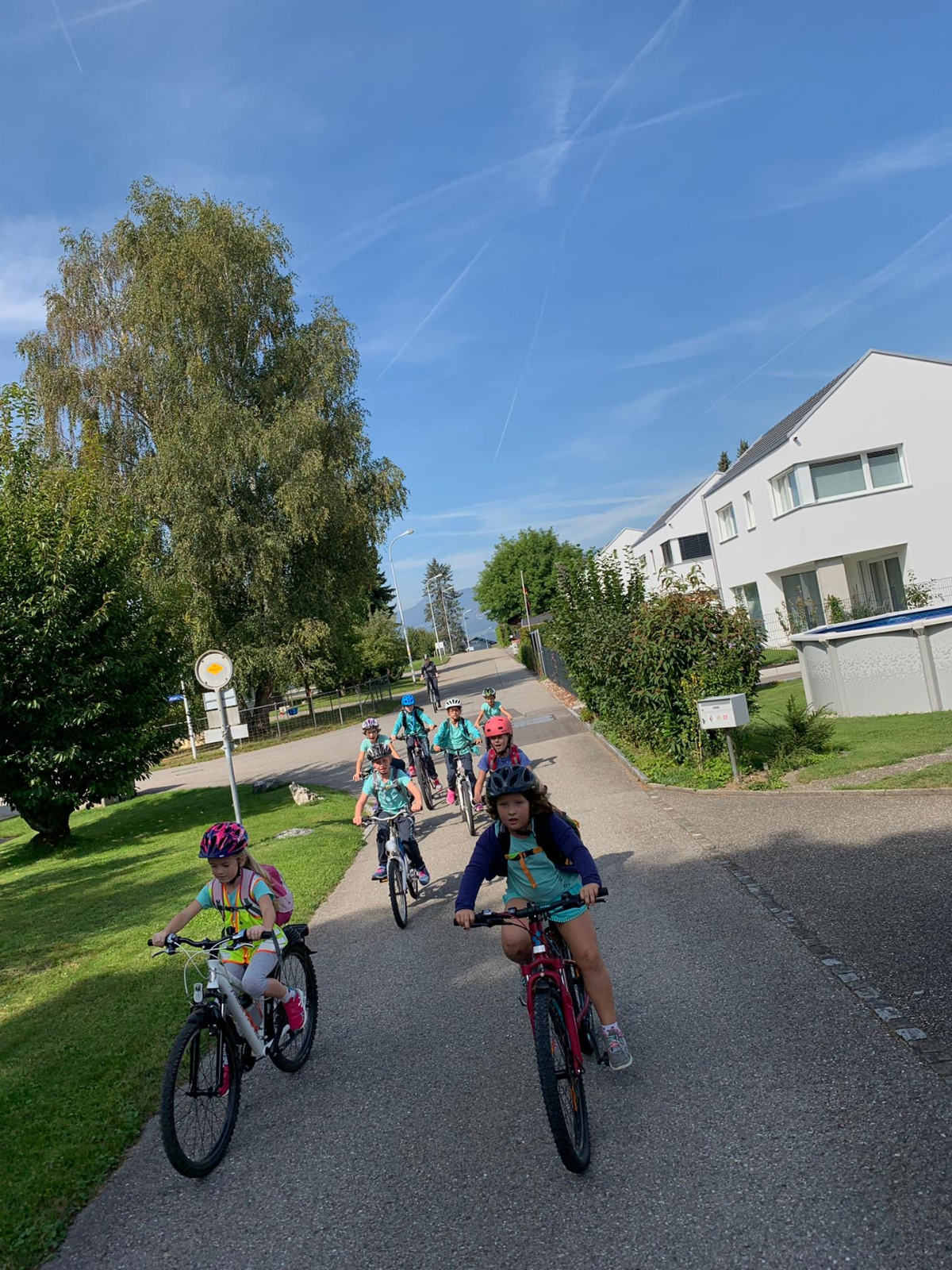 Bild (49)